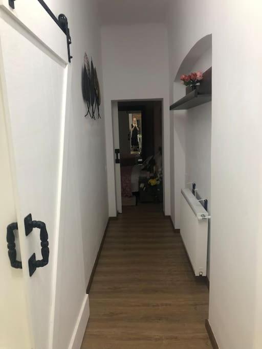 Dumbrava Rosie - Ultracentral Historical Residence Bucureşti Ngoại thất bức ảnh